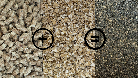 How to Make Flake Soil for Beetles & Isopods – A Complete Guide