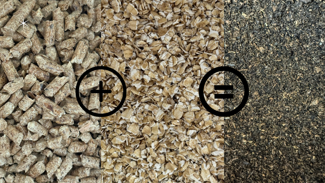 How to Make Flake Soil for Beetles & Isopods – A Complete Guide