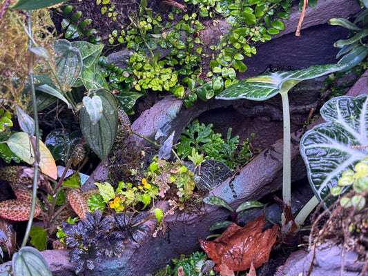 What Clean up Crews Actually Do(and Don’t do)