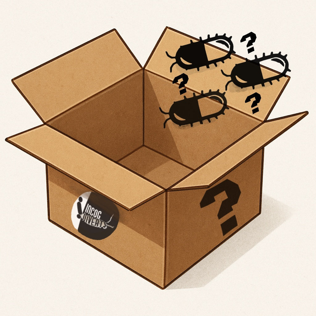 Mystery boxes