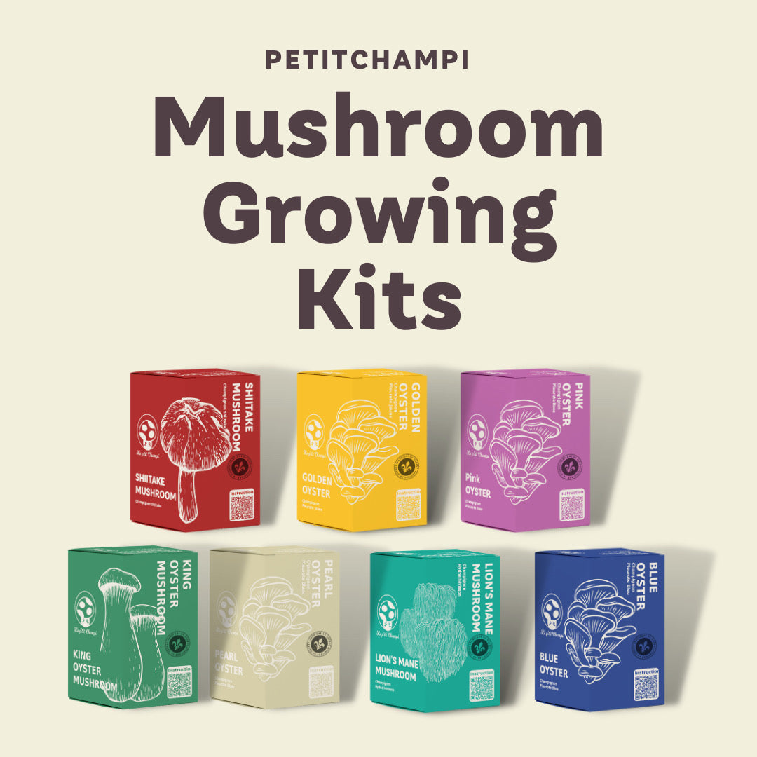 Mushroom Kits