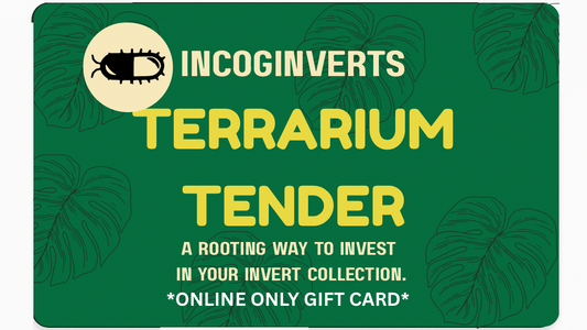 Terrarium Tender