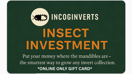 Insect Investment