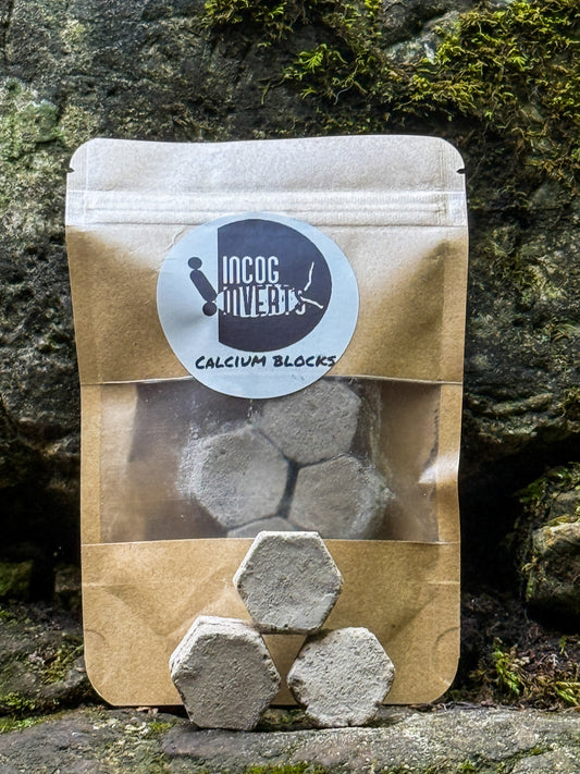 Calcium blocks – For Isopods & Invertebrates