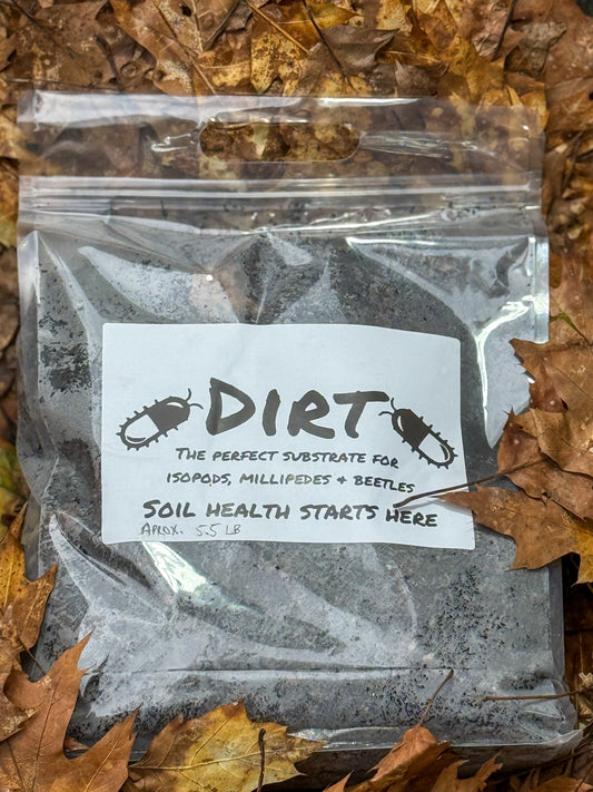 DIRT — the perfect substrate for isopods, millipedes + beetles (Large Bag)