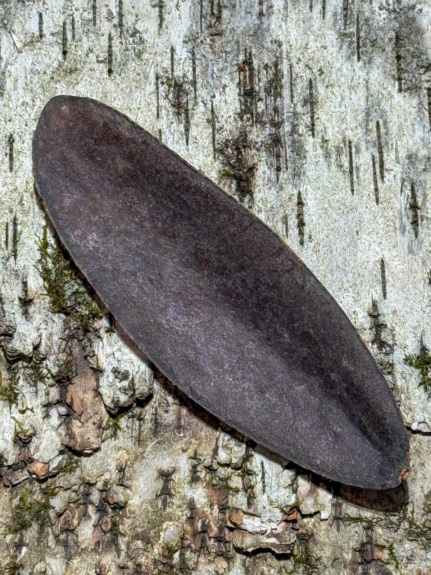Peel Pod