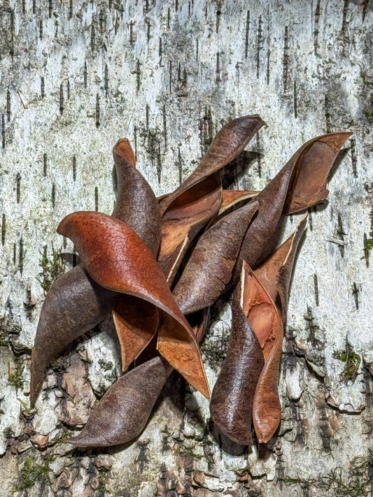 Spiral Split Pods (8 pack)